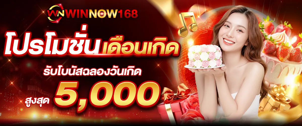 winnow168 promotion3