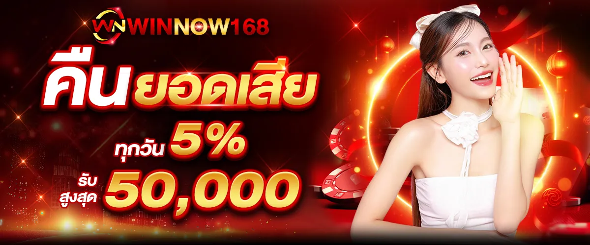 winnow168 promotion4