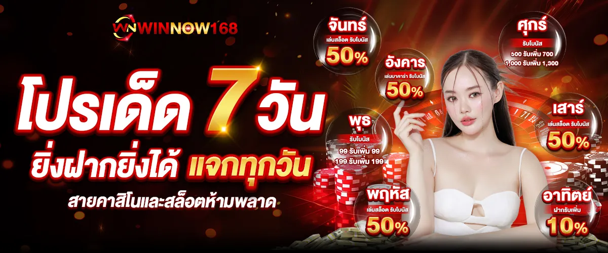 winnow168 promotion5